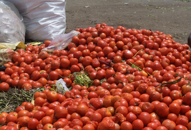 காய்கறி விலை